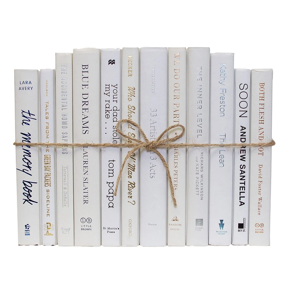 Modern Decorative Book, Snowfall