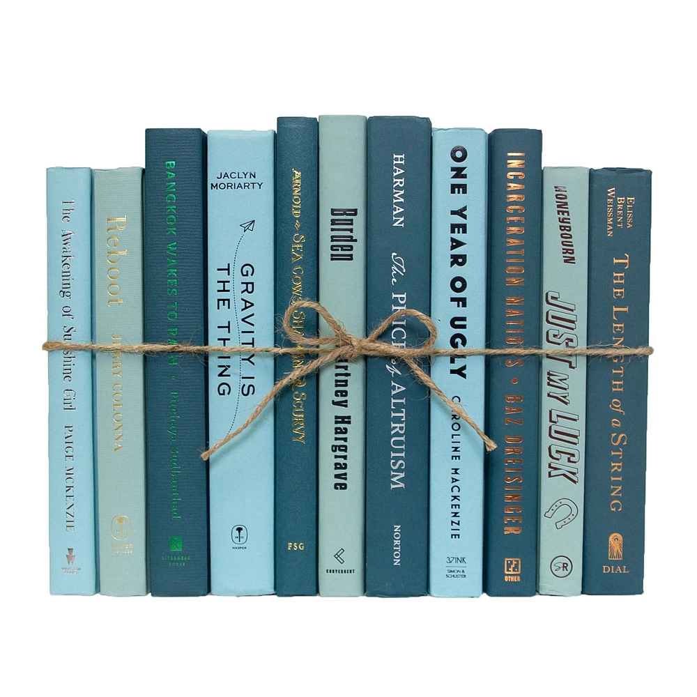 Modern Decorative Book, Snowfall