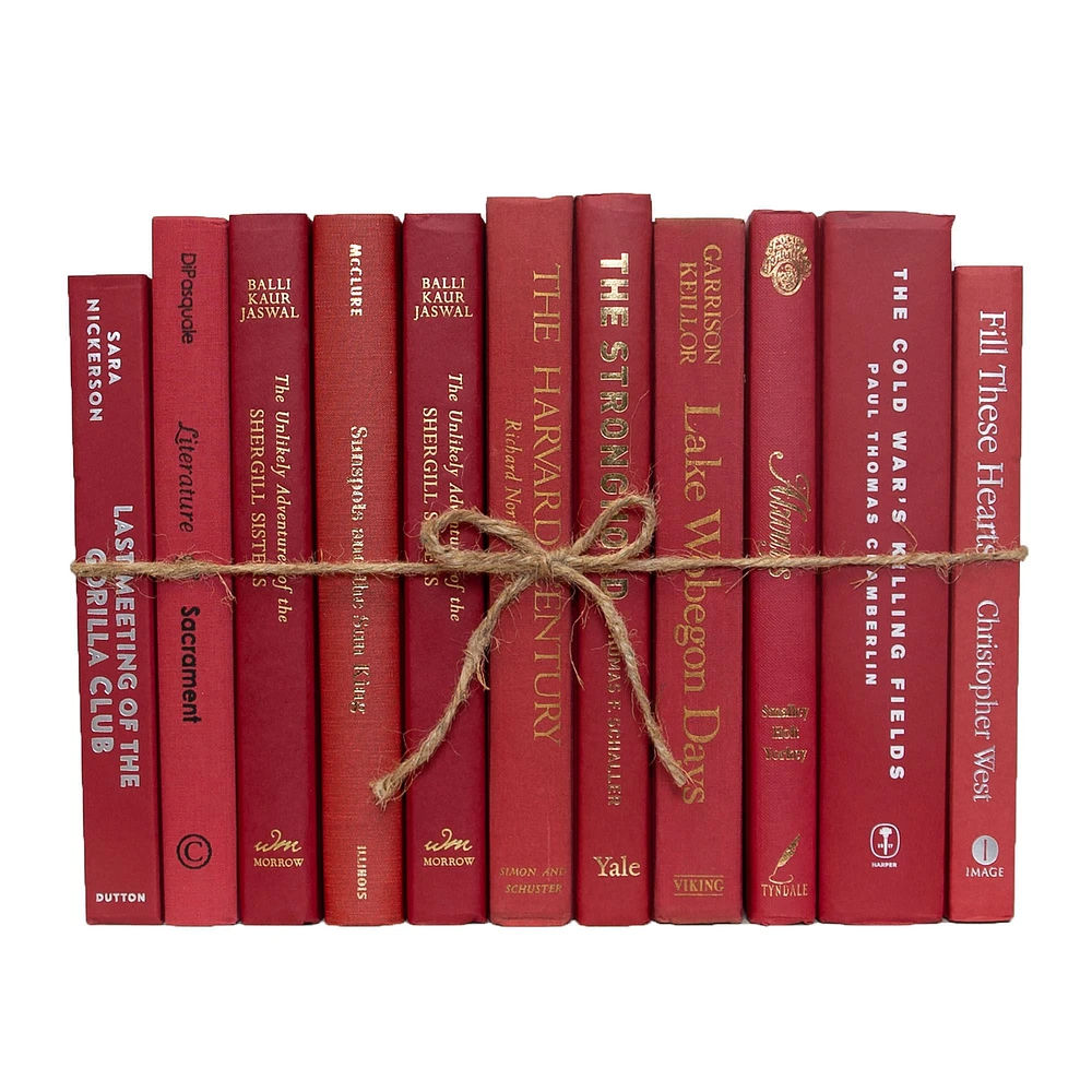 Modern Decorative Book, Snowfall
