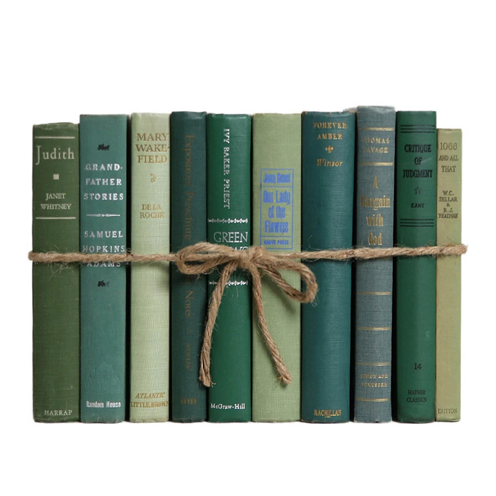 Modern Decorative Book, Snowfall