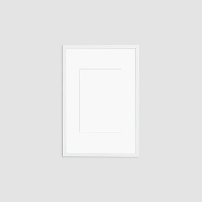 Simply Framed Gallery Frame, White/Mat, 20"X30"