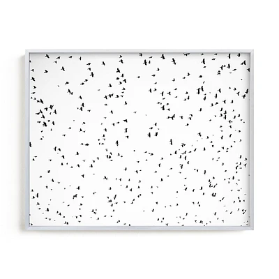 Flight Pattern by Robin Ott, White Wood Frame, Full Bleed, 14"x11"