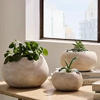 Chole Textured Stone Tabletop Planter, Small, Rustic White