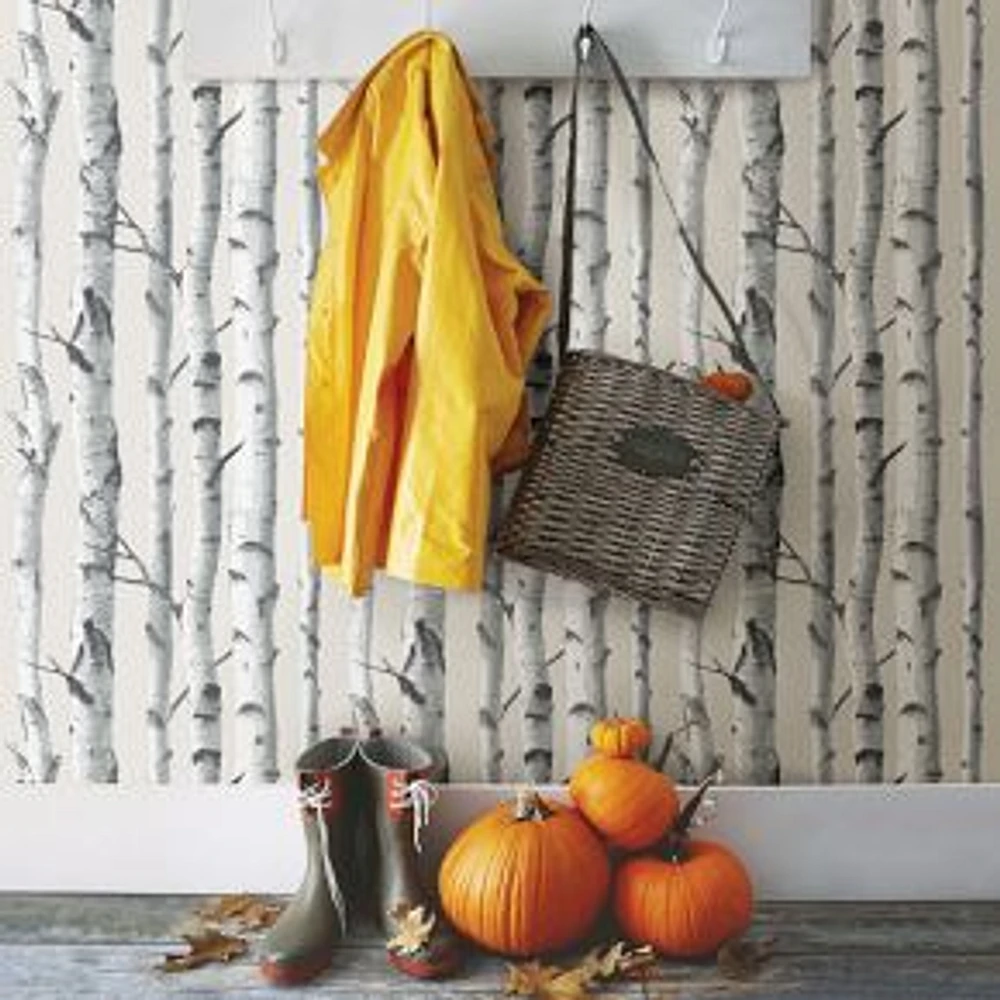 Birch Tree Peel & Stick Wallpaper