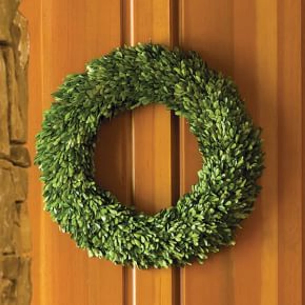 Boxwood Wreath, 24"