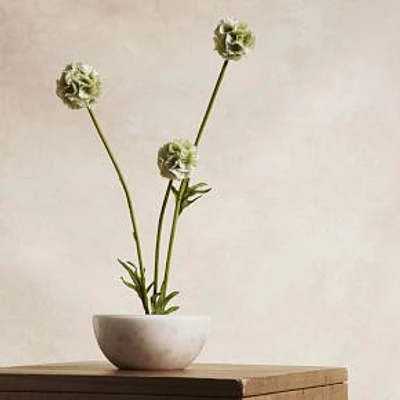 Faux Scabiosa Stem, 22", Green