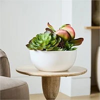 Faux Potted Tabletop Succulent Arrangement w/ Planter