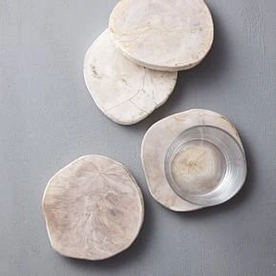 Petrified Wood Coasters, Set of 4, White