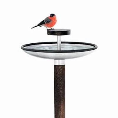 Bird Feeder & Bath, Stainless Steel & Wood