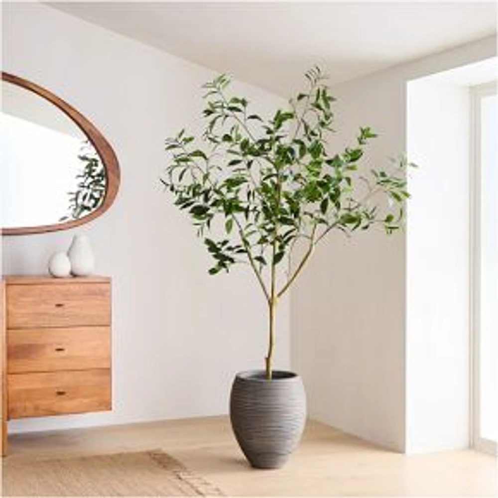 Faux Potted Laurel Tree, 6', Green