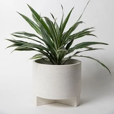 Large Planter With Base Concrete Removable Base White Terrazzo