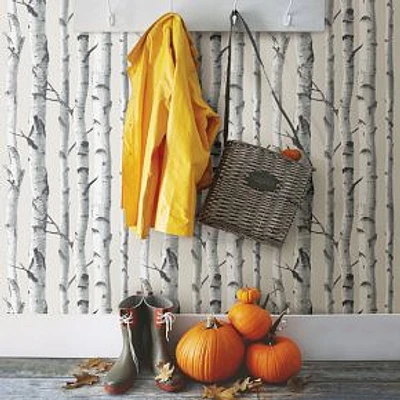 Birch Tree Peel & Stick Wallpaper