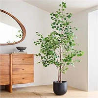 Faux Potted Ficus Tree, 6'