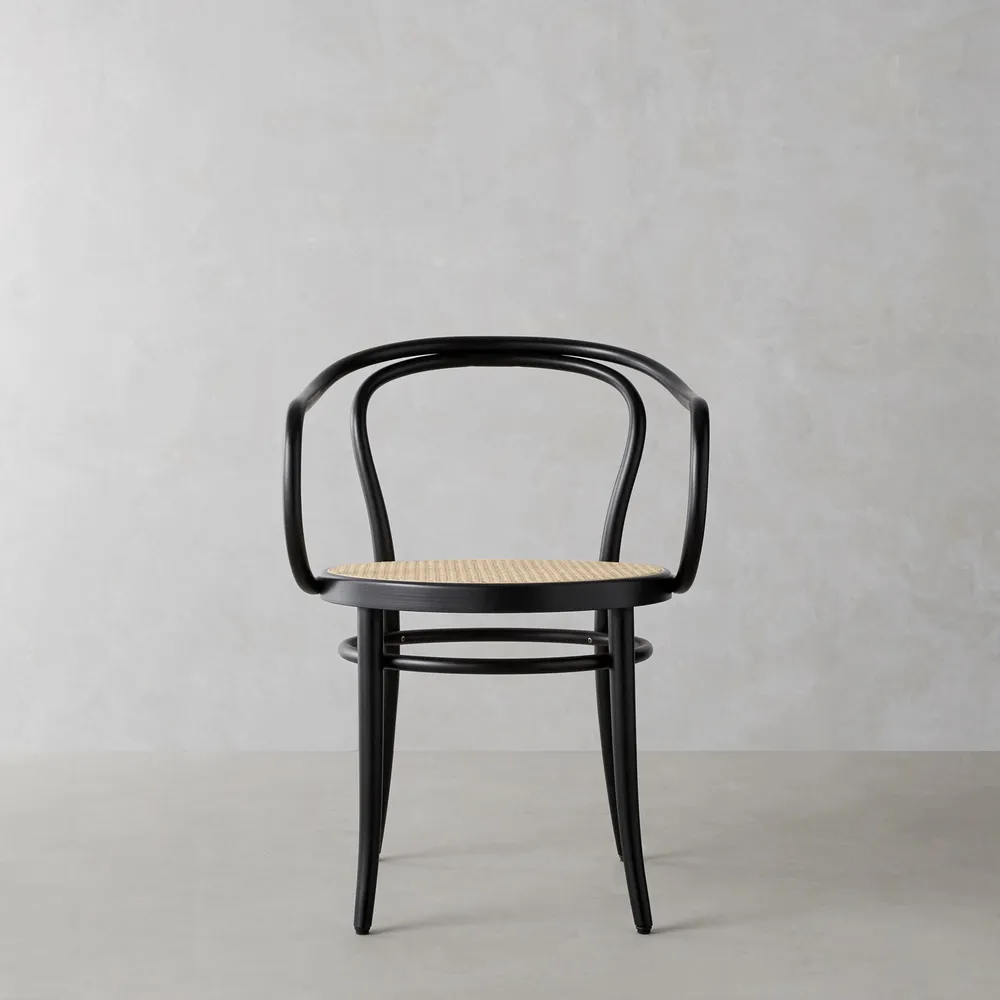 Person med ansvar for sportsspil brud kjole Williams Sonoma Ton 30 Caned Dining Armchair | Bethesda Row