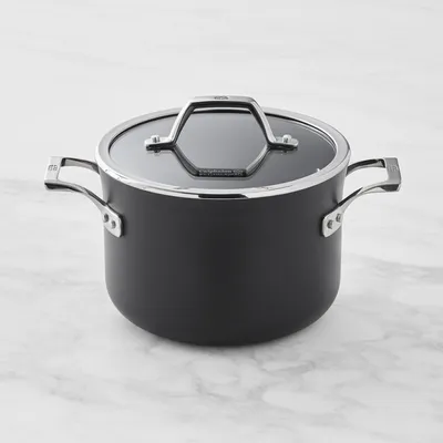 Williams Sonoma All-Clad d5 Stainless-Steel Ultimate Soup Pot with Ladle