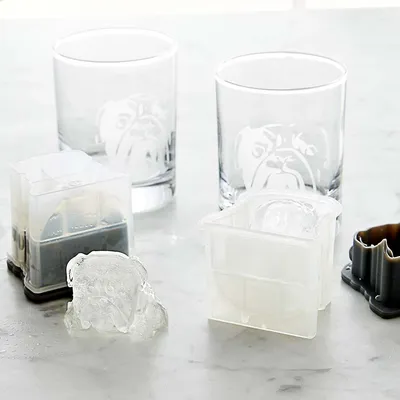 Williams Sonoma Diamond Ice Molds - Set of 2