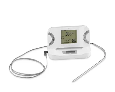 Williams-Sonoma Meat Thermometer Fork