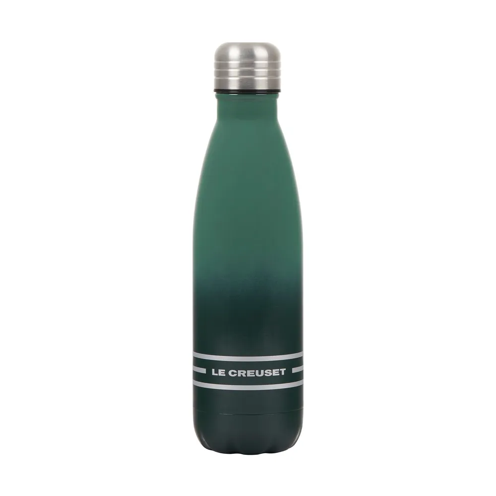 Wide Mouth Stainless Steel Water Bottle with Straw Lid, 17OZ / 500ML