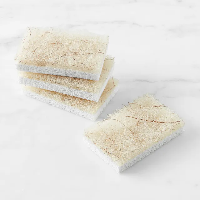 Full Circle Cleana Colada, Coconut Sponge for Cleaning, Scrubber