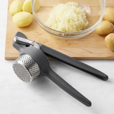 Williams Sonoma OXO Hand Grater & Zester