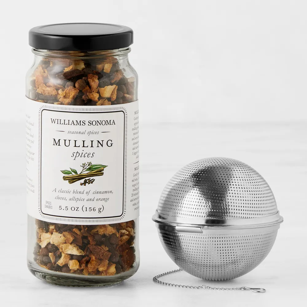 Williams Sonoma Spice Jar Measuring Spoons