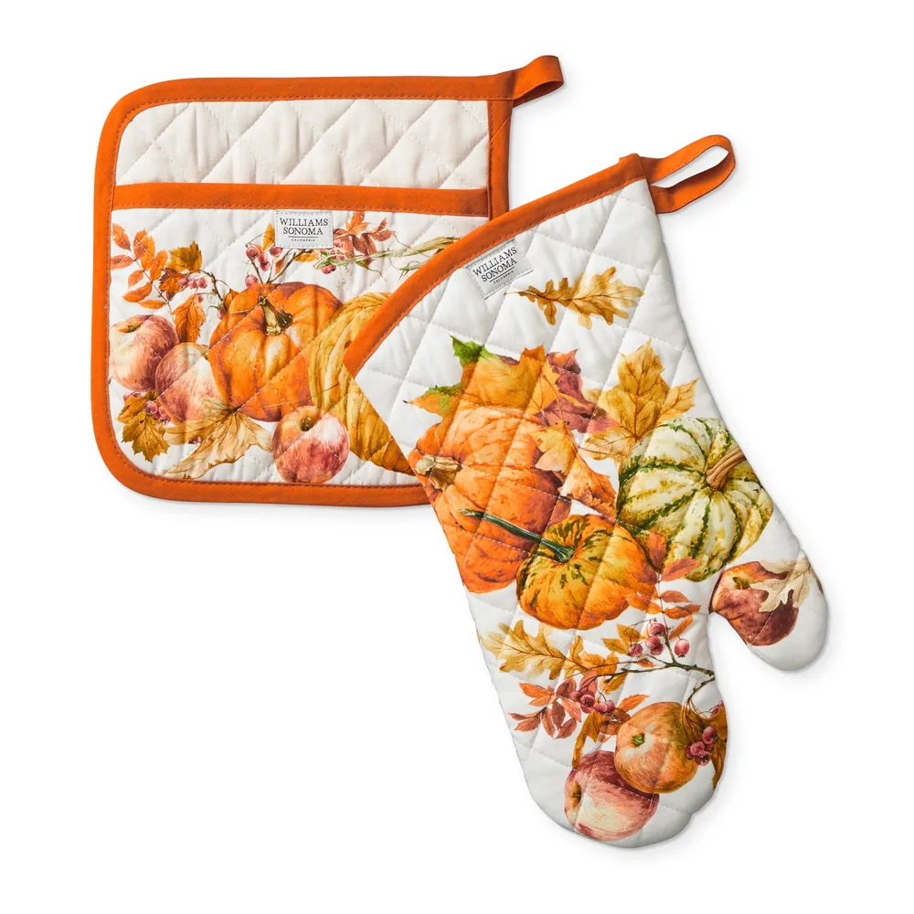 Williams Sonoma NWOT set of 3 Pumpkin Patch oven mitts and pot holder