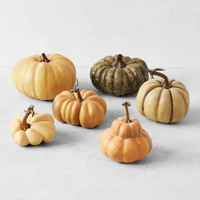 Williams Sonoma Botanical Pumpkin Measuring Cups & Spoons Set