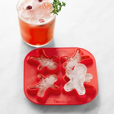 Williams Sonoma King Ice Cube Tray with Lid - Set of 2