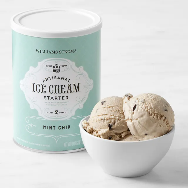 Williams Sonoma Ice Cream Starter, Chocolate