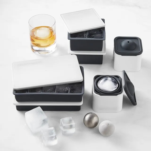 Williams Sonoma Ice Storage Container