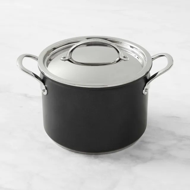 Williams Sonoma Thermo-Clad Induction Nonstick 2-Piece Fry Pan Set