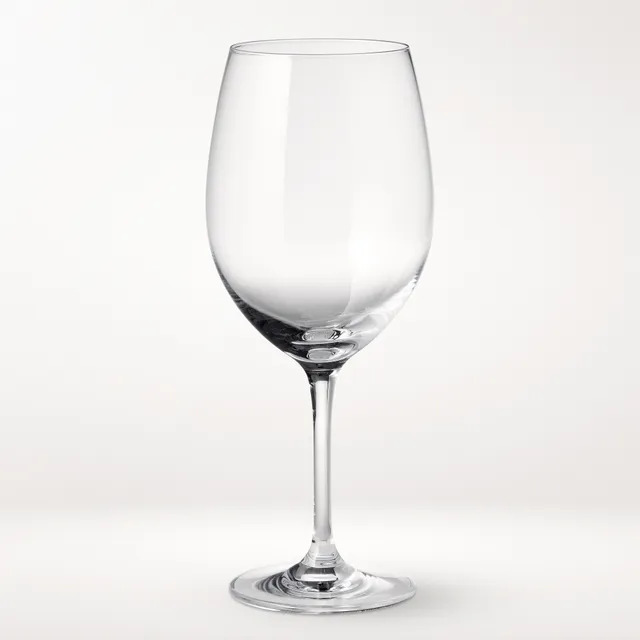 Open Kitchen by Williams Sonoma Stemless White Wine Glasses - Set