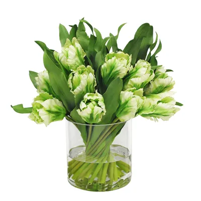 Faux Green & White Tulip Arrangement