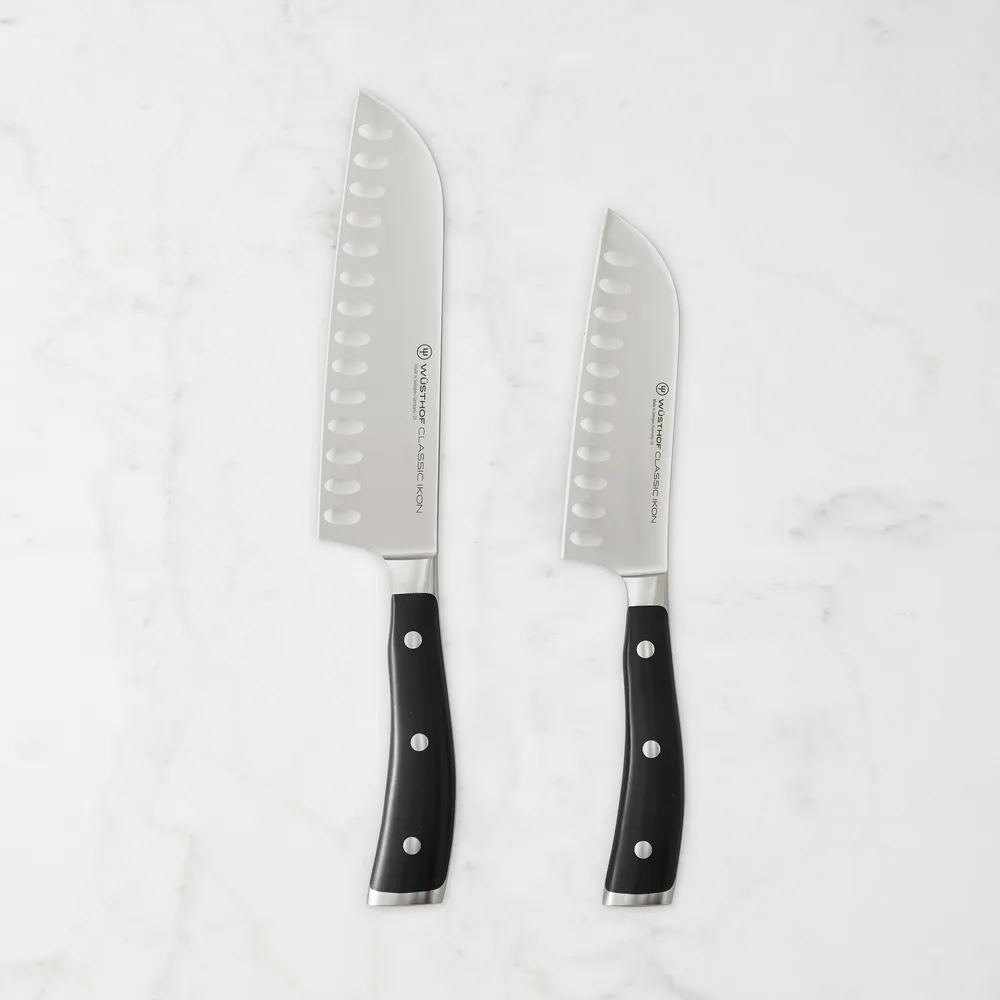 Titanium Cutlery 2-Piece Santoku Knife Set