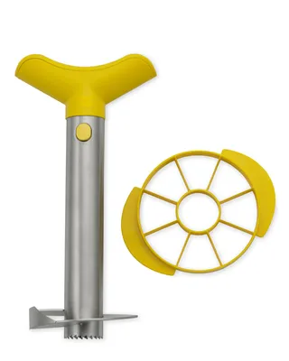 Stainless-Steel Pineapple Slicer & Dicer