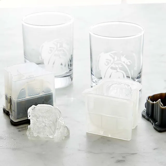 Williams Sonoma Skull Etched Glass & Ice Mold Set