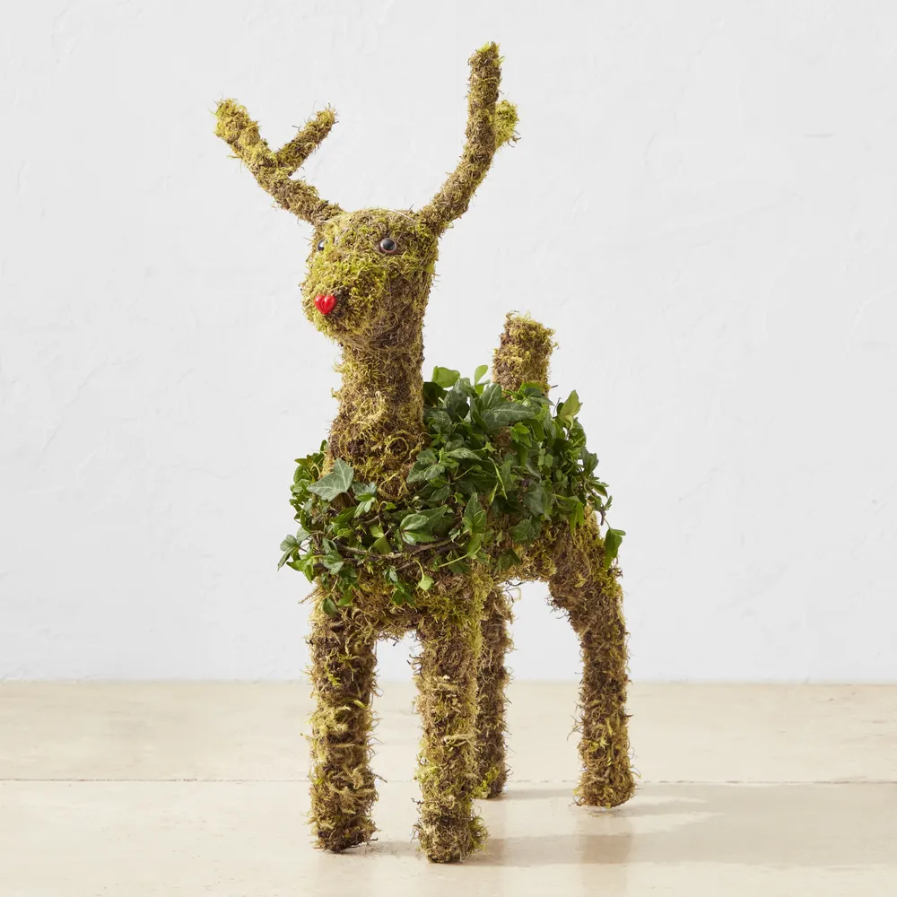 21 Reindeer Moss Potted Artificial Spring Floral Topiary Tree