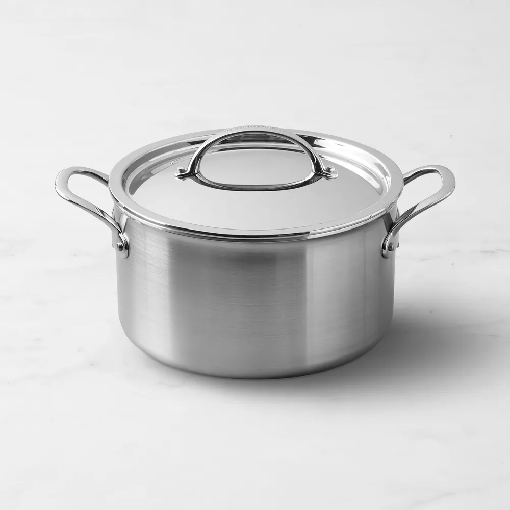 Williams Sonoma Stainless-Steel Rapid Boil Pot