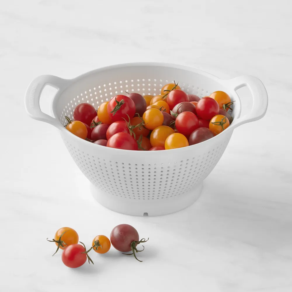 Williams Sonoma Italian Tomato Press