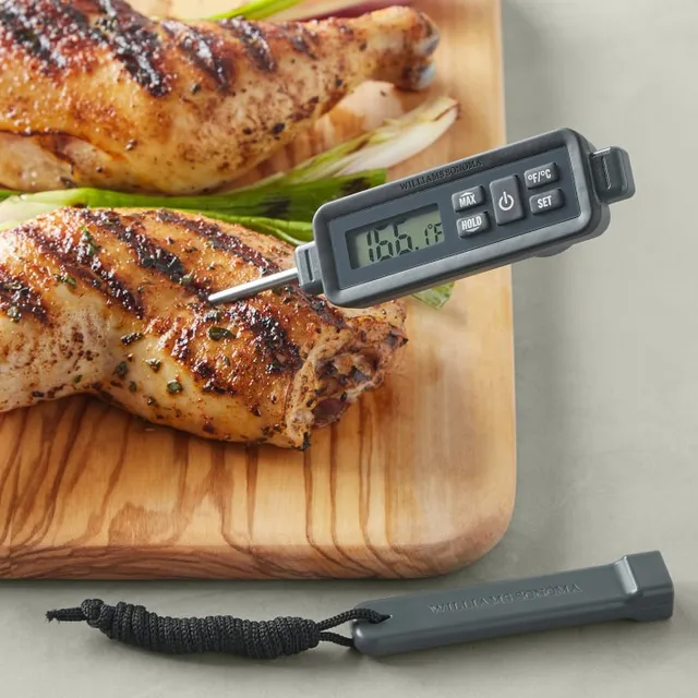 Williams Sonoma Dial Display Oven Thermometer