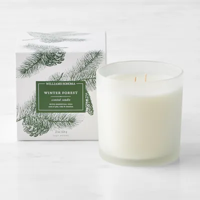 Williams Sonoma Winter Forest Large Candle