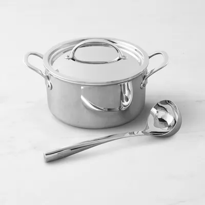 Williams Sonoma Thermo-Clad™ Stainless-Steel Soup Pot with Ladle