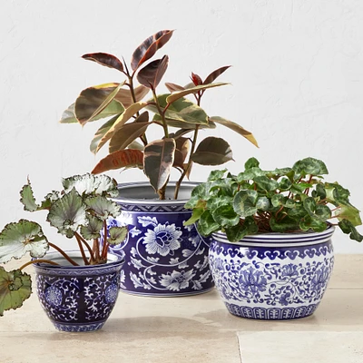 Blue & White Ceramic House Planter Set