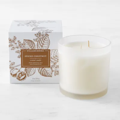 Williams Sonoma Spiced Chestnut Frosted Candle, Large