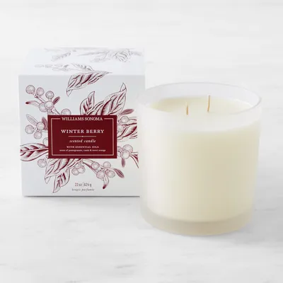 Williams Sonoma Winter Berry Frosted Candle, Large