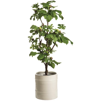 6.3' Faux Fig Tree in Planter