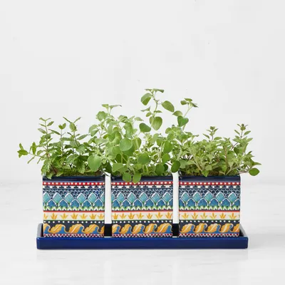 Sicily Herb Planter Set