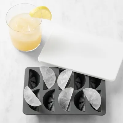 Williams Sonoma Citrus Ice Tray with Lid