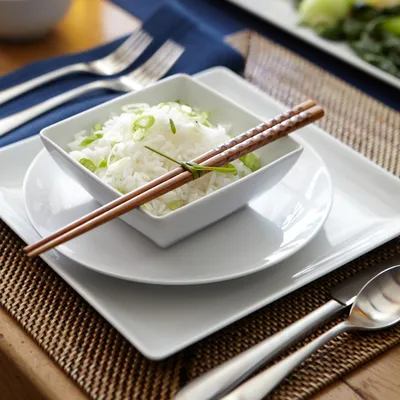 Apilco Zen Porcelain Dinner Plates
