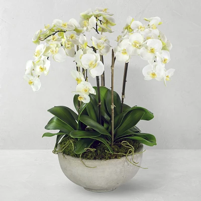 28" Faux Orchids in Planter